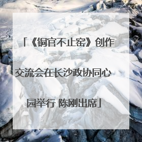 《铜官不止窑》创作交流会在长沙政协同心园举行 陈刚出席