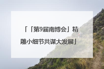 「第9届南博会」精雕小细节共谋大发展