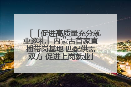 「促进高质量充分就业巡礼」内蒙古首家直播带岗基地 匹配供需双方 促进上岗就业