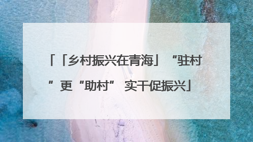 「乡村振兴在青海」“驻村”更“助村” 实干促振兴