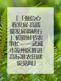 「强信心 看发展·高质量发展调研行」初夏时节农事忙——武威市凉州区推进高标准农田建设见闻