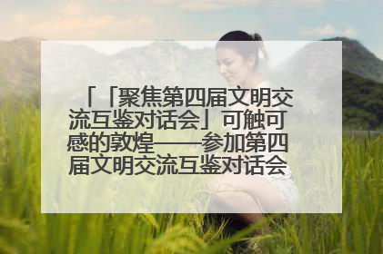 「聚焦第四届文明交流互鉴对话会」可触可感的敦煌——参加第四届文明交流互鉴对话会的外宾参观上元市集