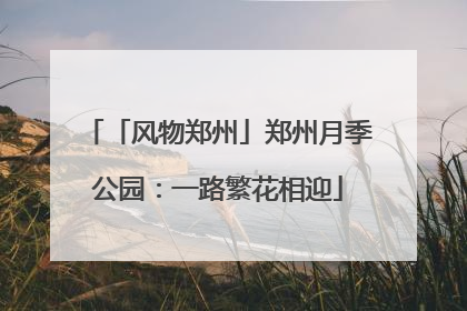 「风物郑州」郑州月季公园：一路繁花相迎