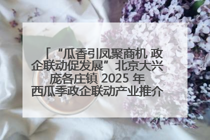 “瓜香引凤聚商机 政企联动促发展”北京大兴庞各庄镇 2025 年西瓜季政企联动产业推介活动圆满举行