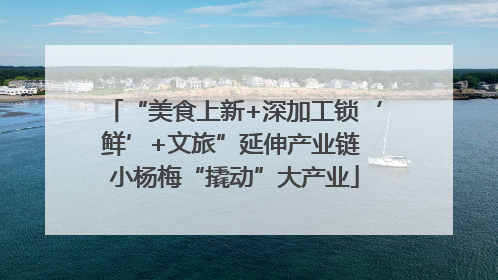 “美食上新+深加工锁‘鲜’+文旅”延伸产业链 小杨梅“撬动”大产业
