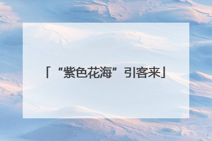 “紫色花海”引客来