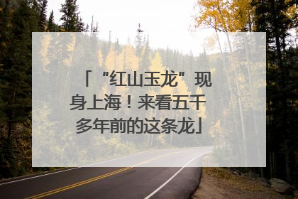 “红山玉龙”现身上海！来看五千多年前的这条龙