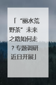 “丽水荒野茶”未来之路如何走？专题调研近日开展
