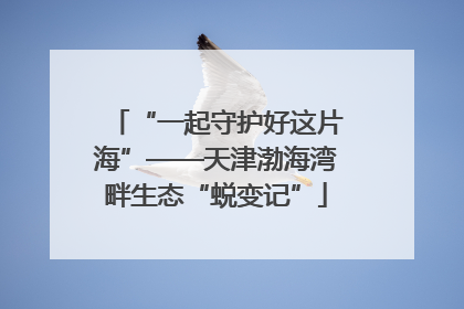 “一起守护好这片海”——天津渤海湾畔生态“蜕变记”