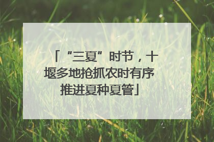 “三夏”时节，十堰多地抢抓农时有序推进夏种夏管