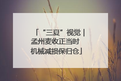 “三夏”视觉｜孟州麦收正当时 机械减损保归仓