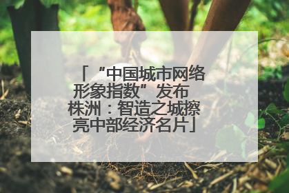“中国城市网络形象指数”发布 株洲：智造之城擦亮中部经济名片