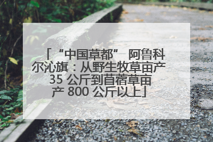 “中国草都” 阿鲁科尔沁旗：从野生牧草亩产 35 公斤到苜蓿草亩产 800 公斤以上
