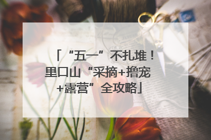 “五一”不扎堆！里口山“采摘+撸宠+露营”全攻略