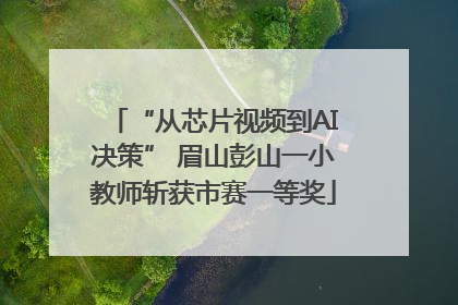 “从芯片视频到AI决策” 眉山彭山一小教师斩获市赛一等奖