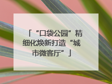 “口袋公园”精细化焕新打造“城市微客厅”