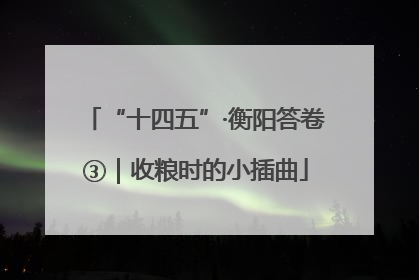 “十四五”·衡阳答卷③|收粮时的小插曲