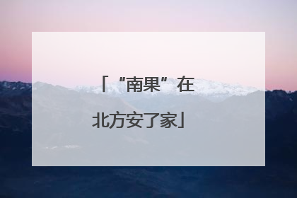 “南果”在北方安了家