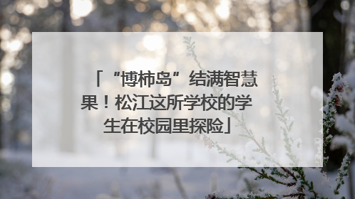 “博柿岛”结满智慧果！松江这所学校的学生在校园里探险