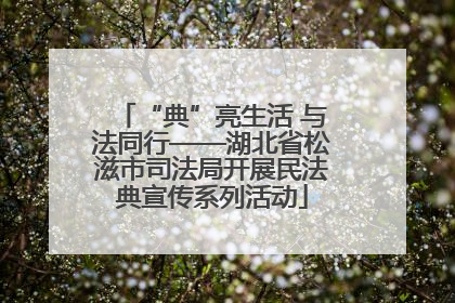 “典”亮生活 与法同行——湖北省松滋市司法局开展民法典宣传系列活动