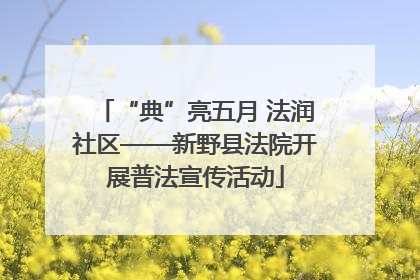 “典”亮五月 法润社区——新野县法院开展普法宣传活动