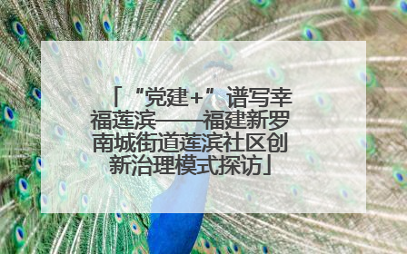 “党建+”谱写幸福莲滨——福建新罗南城街道莲滨社区创新治理模式探访