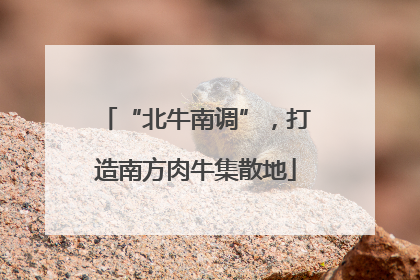 “北牛南调”，打造南方肉牛集散地