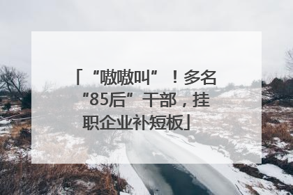 “嗷嗷叫”！多名“85后”干部，挂职企业补短板