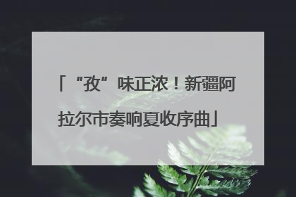 “孜”味正浓！新疆阿拉尔市奏响夏收序曲