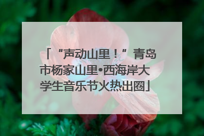“声动山里！”青岛市杨家山里•西海岸大学生音乐节火热出圈