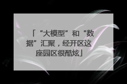 “大模型”和“数据”汇聚，经开区这座园区很酷炫