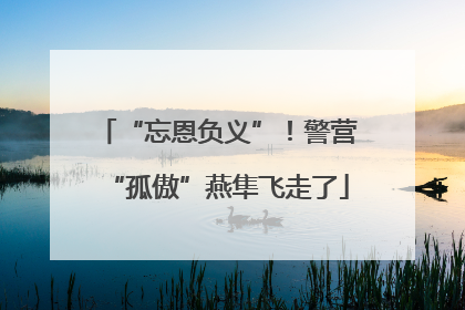 “忘恩负义”！警营“孤傲”燕隼飞走了
