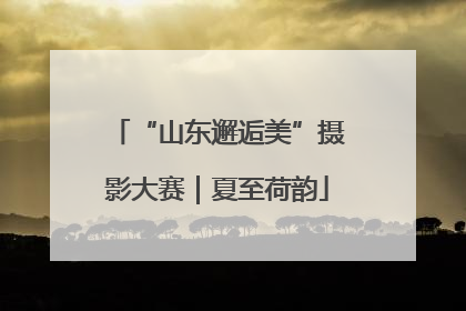 “山东邂逅美”摄影大赛｜夏至荷韵