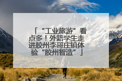 “工业旅游”看点多！外籍学生走进胶州李哥庄镇体验“胶州智造”