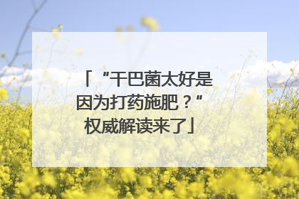 “干巴菌太好是因为打药施肥？”权威解读来了