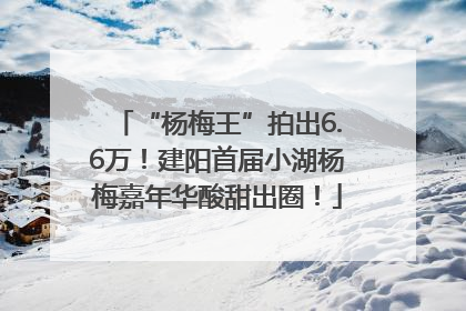 “杨梅王”拍出6.6万！建阳首届小湖杨梅嘉年华酸甜出圈！