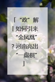 “政”解丨如何引来“金凤凰”？河南亮出“一盘棋”