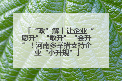 “政”解丨让企业“愿升”“敢升”“会升”！河南多举措支持企业“小升规”
