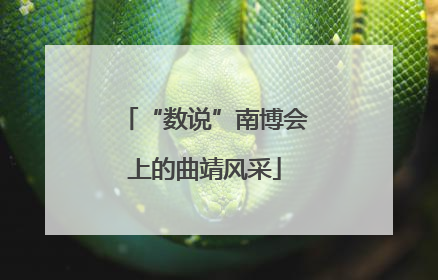 “数说”南博会上的曲靖风采