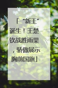 “新王”诞生！王楚钦战胜雨果，骄傲展示胸前国旗