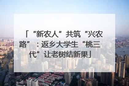 “新农人”共筑“兴农路”：返乡大学生“桃三代”让老树结新果