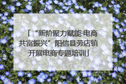 “新阶聚力赋能·电商共富振兴”阳信县劳店镇开展电商专题培训