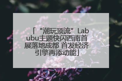 “潮玩顶流”Labubu主题快闪西南首展落地成都 首发经济引擎再添动能