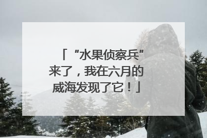 “水果侦察兵”来了，我在六月的威海发现了它！