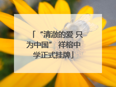 “清澈的爱 只为中国” 祥榕中学正式挂牌