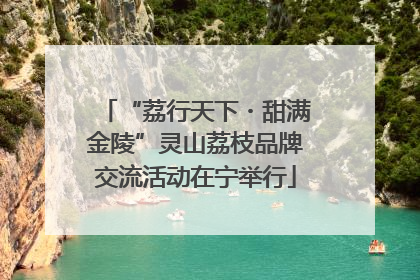 “荔行天下・甜满金陵”灵山荔枝品牌交流活动在宁举行