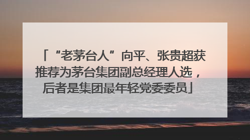 “老茅台人”向平、张贵超获推荐为茅台集团副总经理人选，后者是集团最年轻党委委员