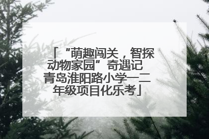 “萌趣闯关，智探动物家园”奇遇记 青岛淮阳路小学一二年级项目化乐考