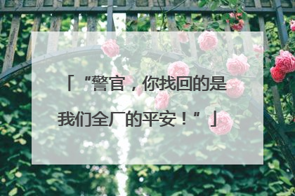 “警官，你找回的是我们全厂的平安！”