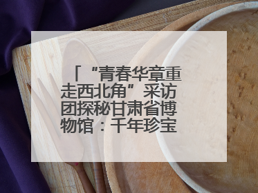 “青春华章重走西北角”采访团探秘甘肃省博物馆：千年珍宝诉说丝路辉煌